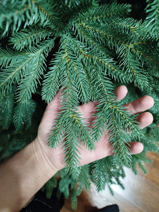 Ёлка новогодня Императорская по супер цене