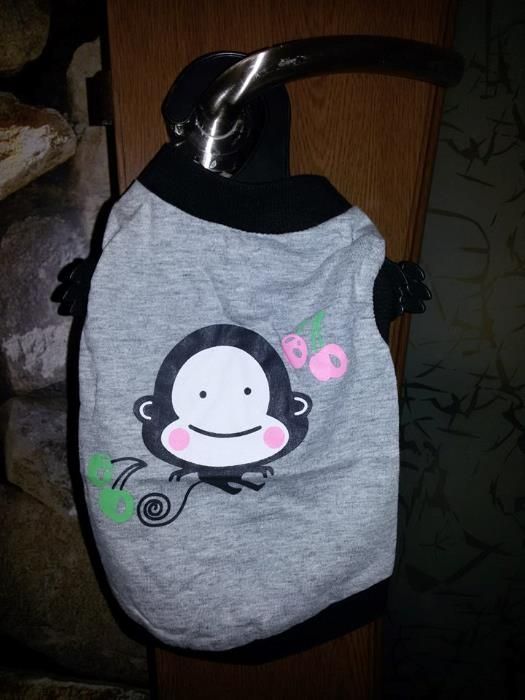 НАМАЛЕНИЕ дрехи, тениски за кученца