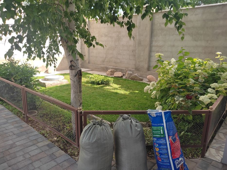 Газон живои семена