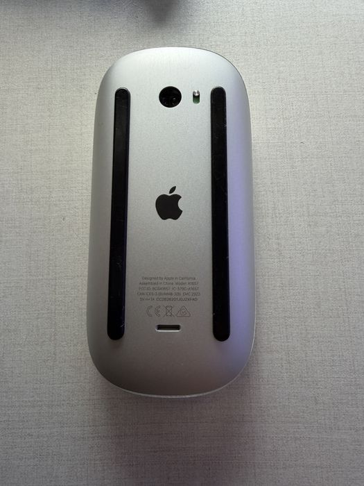Magic Mouse 1657