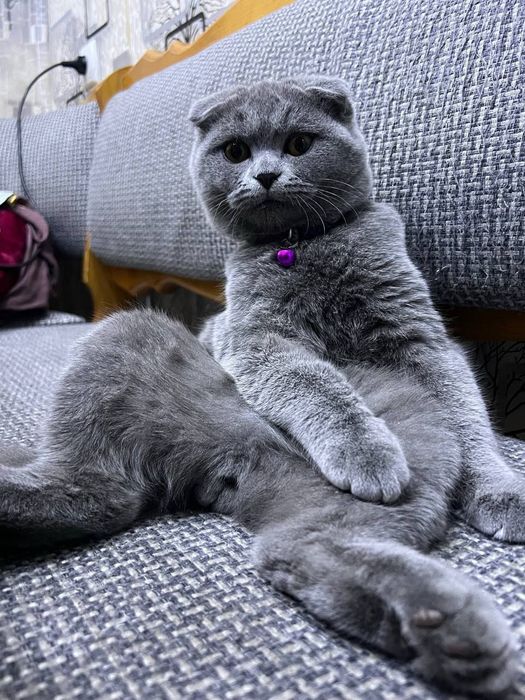 Сотилади самарканда срочно пул зарур