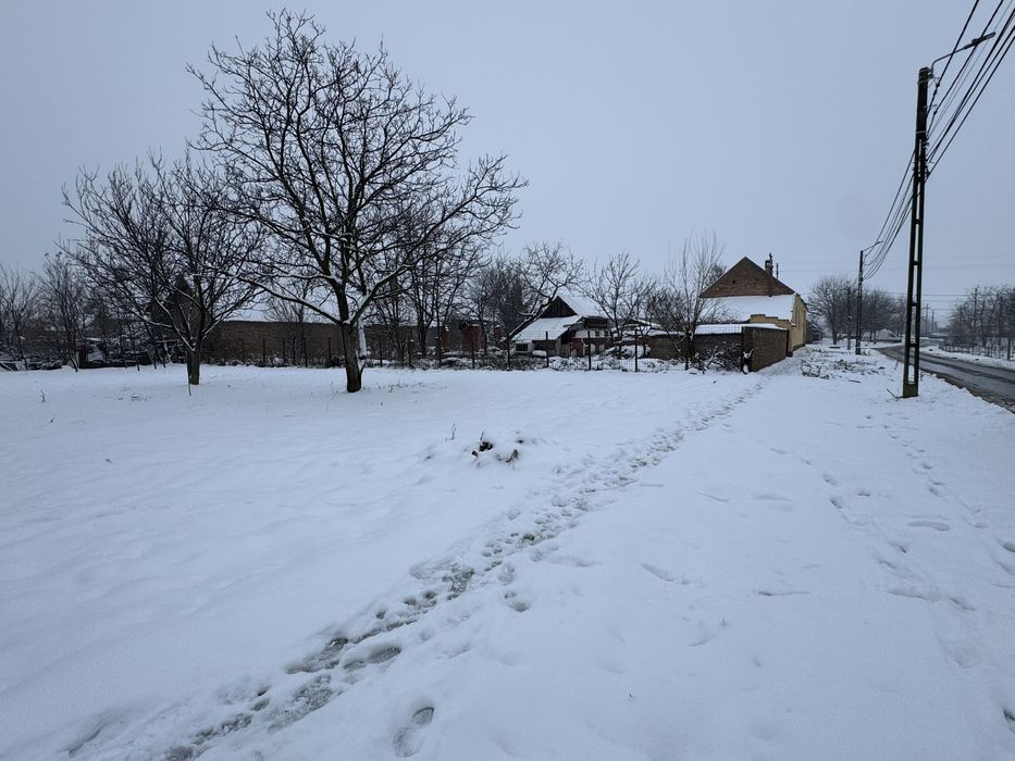 Teren de vanzare carpinis timis