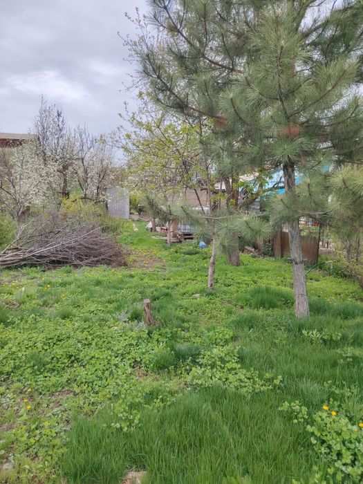 Дача 19 километр