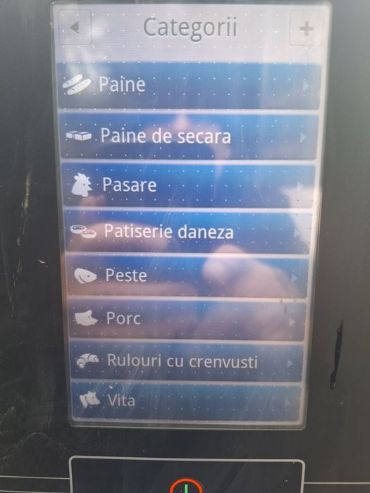 Cuptor gastronomic electric