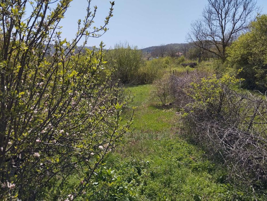 Продава се Къща в с. Долище, Област Варна - 60 кв.м за 1484 €/кв.м - Снимка #3