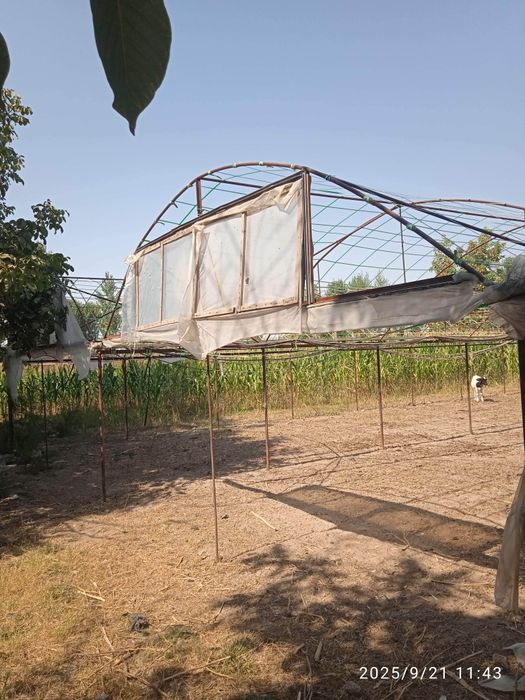 Иссикхона парник сирочна сотилади.