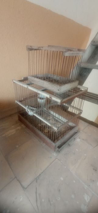 Клетка для домашних птиц