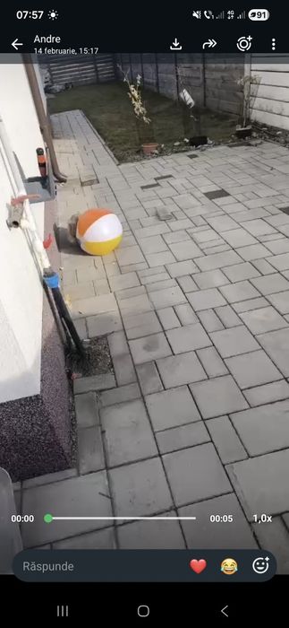 Închiriere duplex