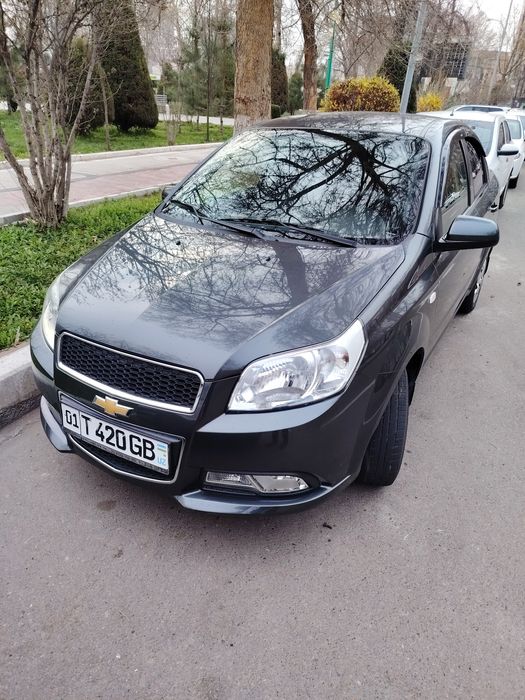 Nexia 3 toza radnoy kraskada