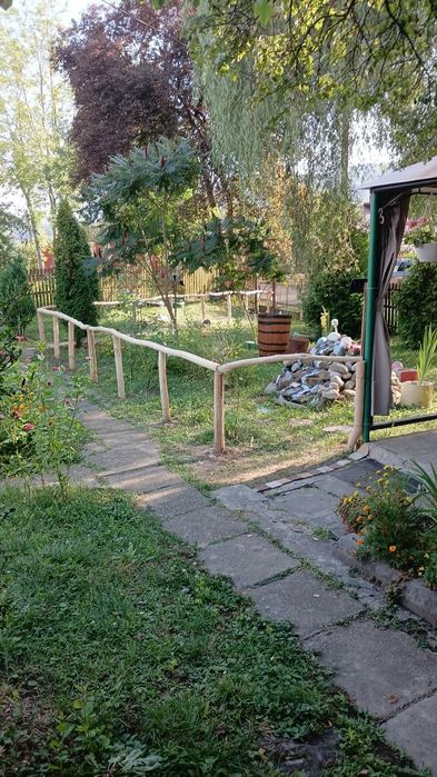 Vand Casa Provita de Jos