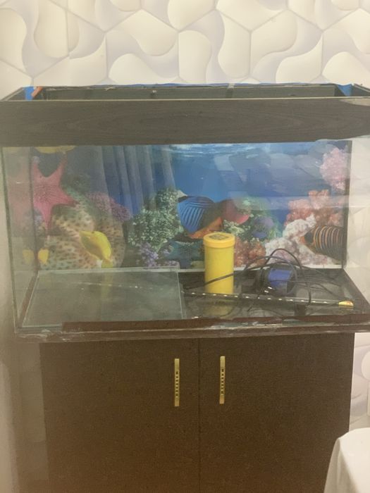 Продом акварум нет загрязнений