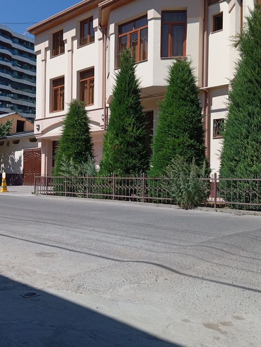 Ot orish archa ekish gazon ekish