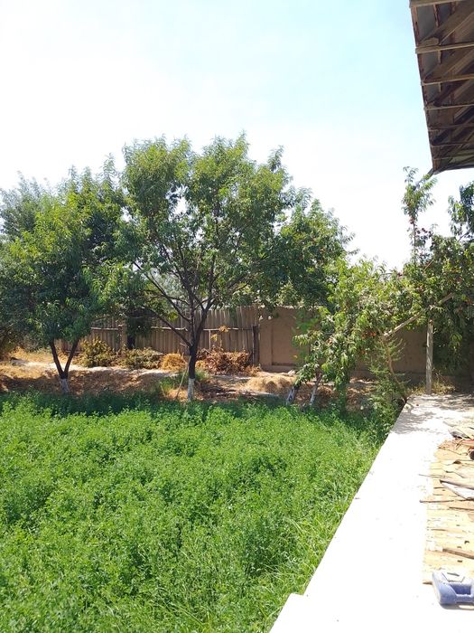 Уй сотилади 5 та хона ва иккита дахлиз тандирхона хаммом