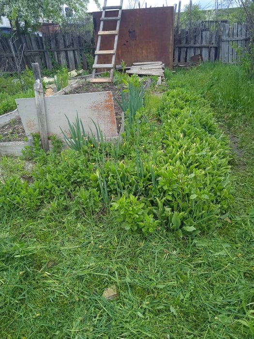 СРОЧНО за 2 дачи вместе с ДОКУМЕНТАМИ по зерендинской трассе