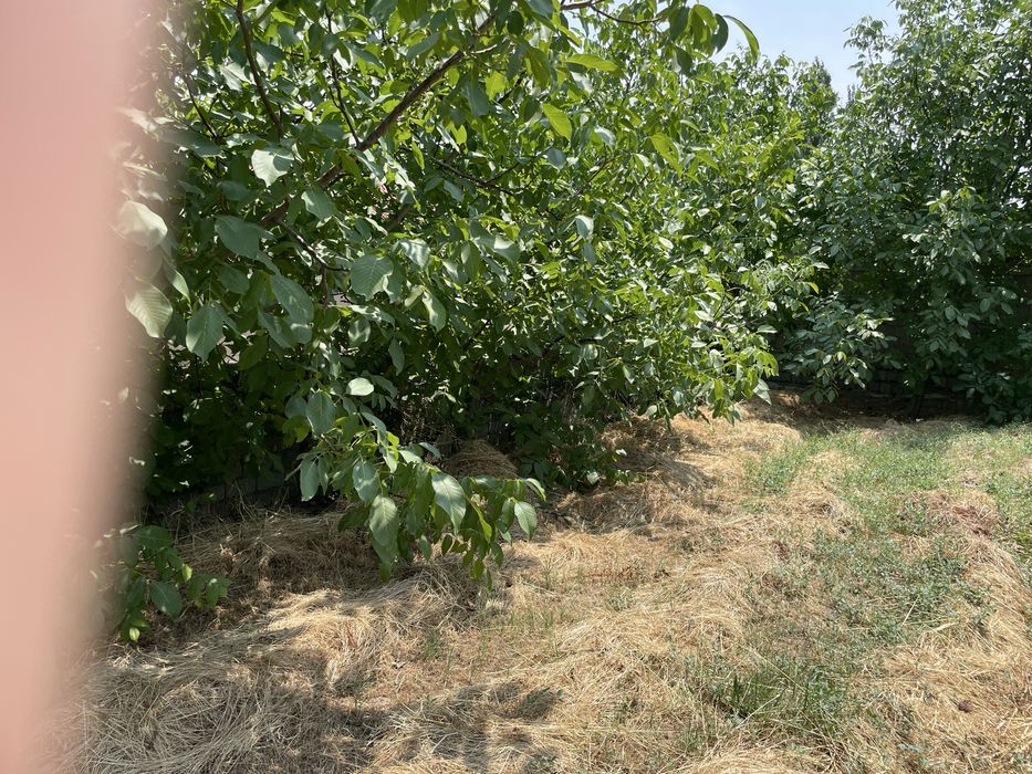 Oq toshda yer sotiladi