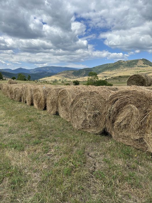 Baloti fan rotunzi 120x120