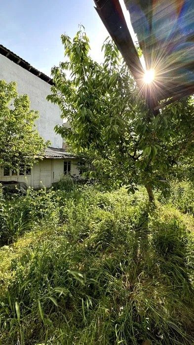 Минор метро 4 ком аренда дома