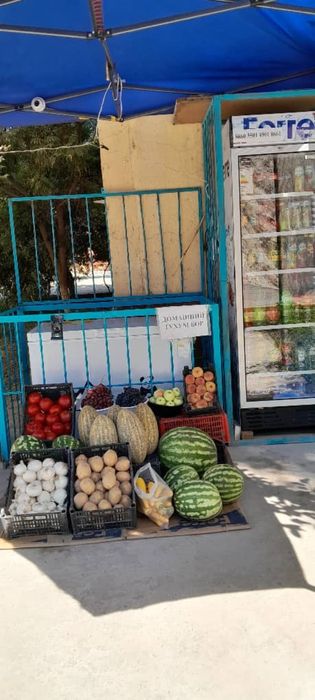 квартира гурленское 19 дом 1 этаж 2 хона