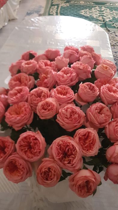 Әдемі раушан гүлдері сатылады