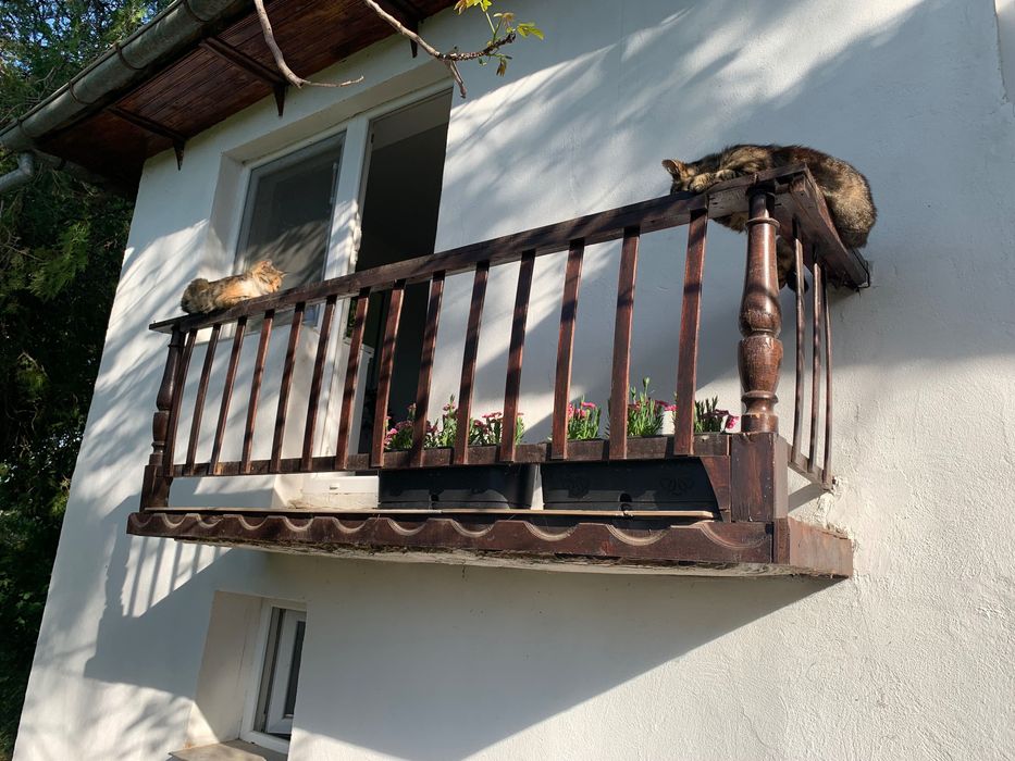 Продава се Къща в Ловеч, Червен бряг - 60 кв.м за 238 €/кв.м - Снимка #17