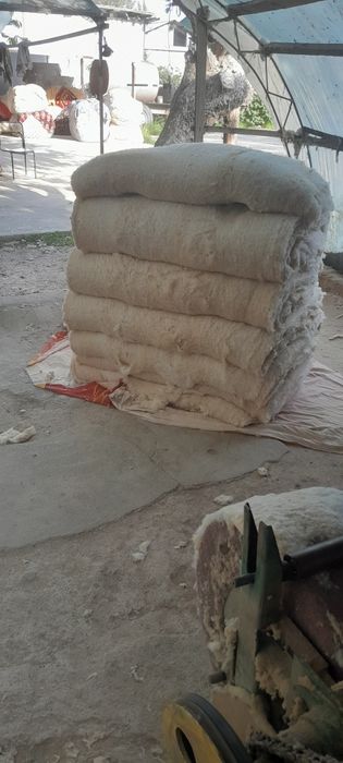 Bizda paxta tin-tin xizmati sifatli va tez
