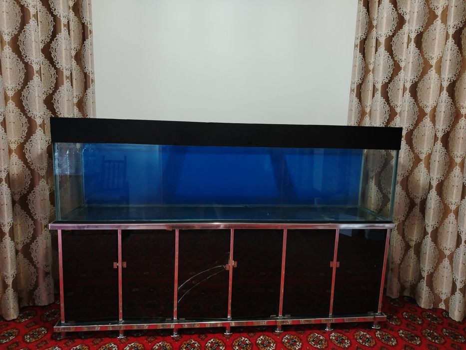 Akvarium baliq uchun