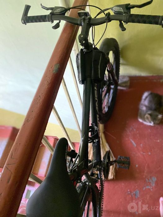 Yangi xama narsasi bor