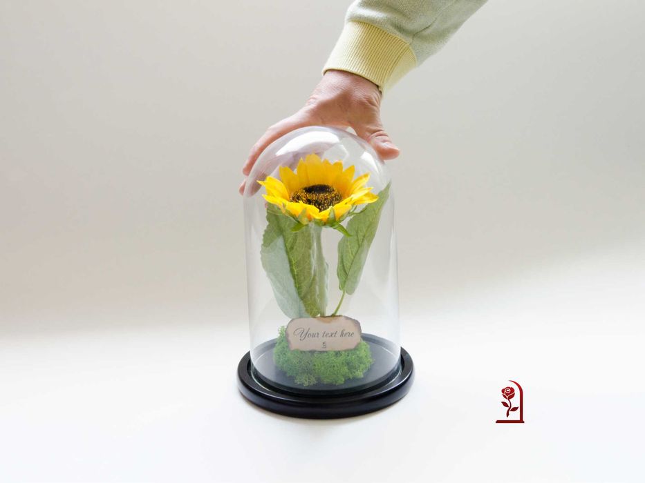 Вечен Слънчоглед в Голяма Стъкленица със Скандинавски Мъх / Ръчно изработен Подарък за Рожден Ден на Жена / Оригинален Подарък за Съпругата