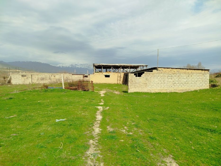 Срочно сотилади ферма Босталик районуда Таваксайда ферма яхши жойда