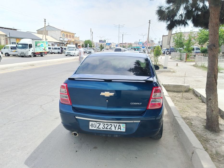 Other Cobalt 2023 — 2