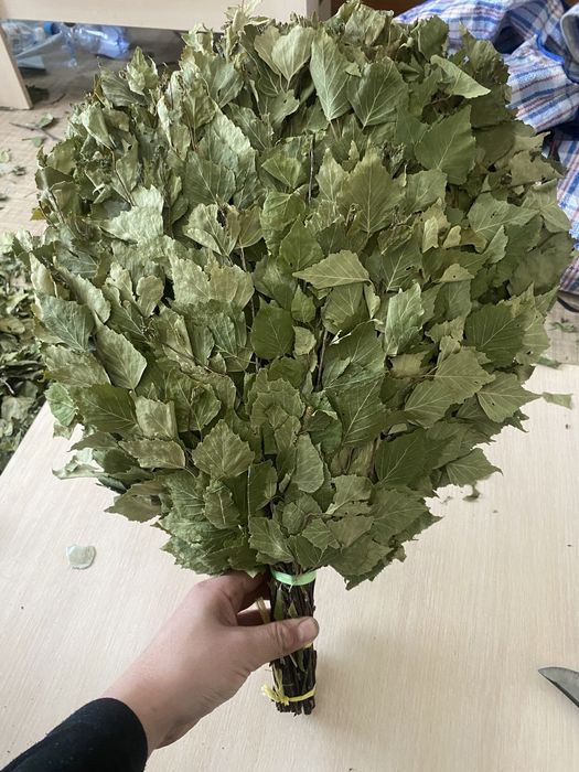 Продам баные веники(Из березы)