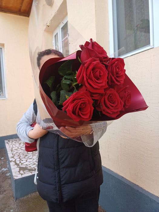 Голанские розы 7 штук