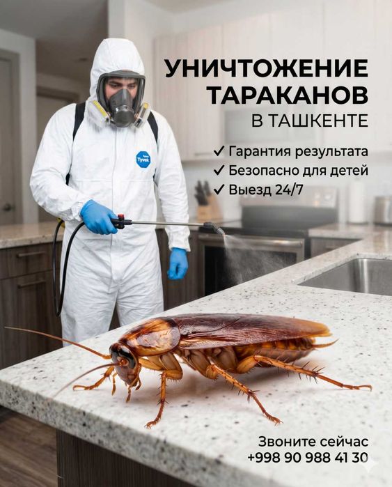 Дезинфекция Ташкент 24/7 — клопы, тараканы, блохи | Dezinfeksiya
