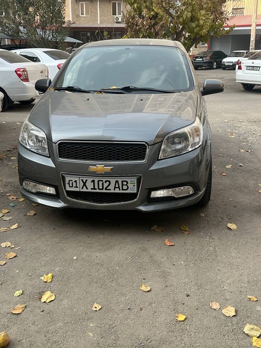 Arenda vikup nexia3 2016