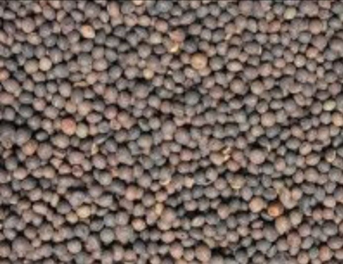 Samanta Măzăriche de primăvară Borceag recolta 2025,sac 25 kg