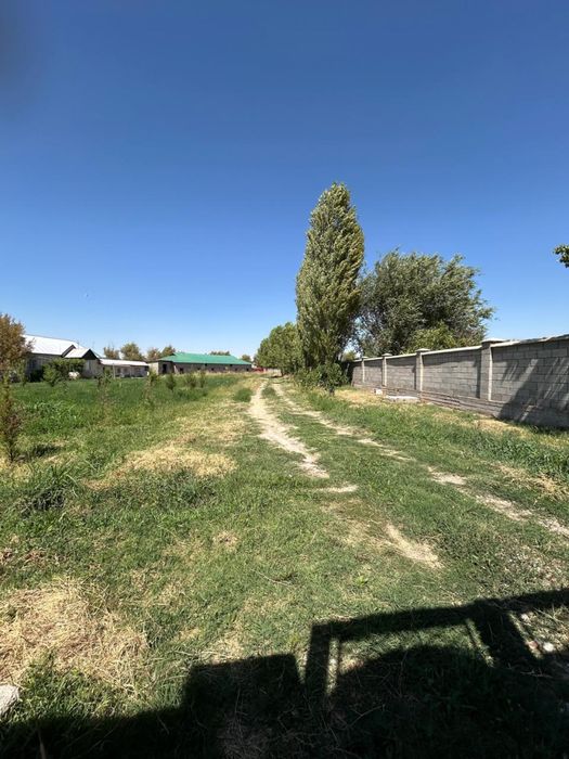 Дом с личным подсобным хозяйством