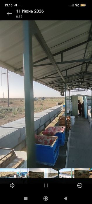 Пчелоприцеп Зил с пчелами