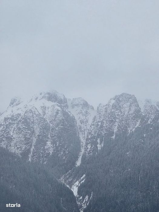 Loturi premium, cu vedere directă către Mt Bucegi