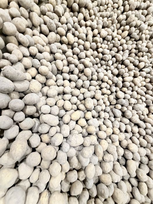 Продам семена картофеля Гала