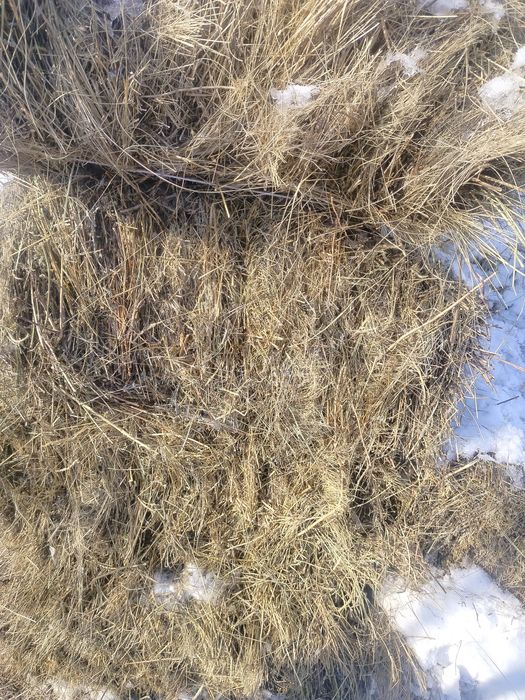 Продам Тюкииииии