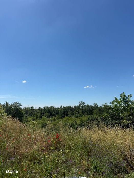 Teren intravilan arabil, 1635 mp, zona Pielesti