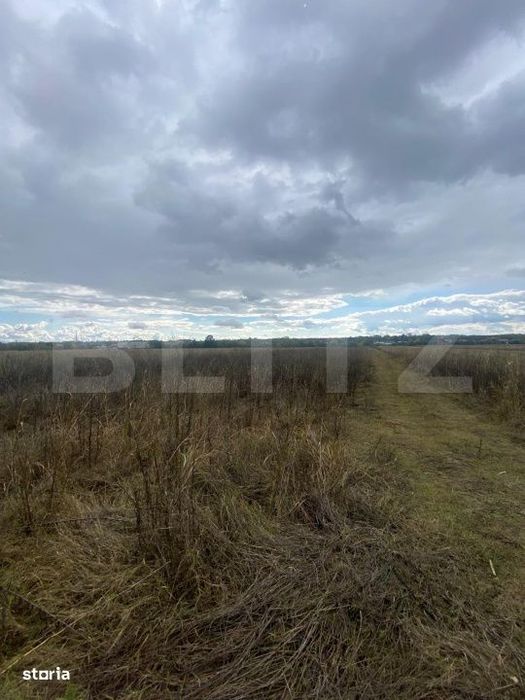 Teren extravilan, 2500 mp, zona Lucieni
