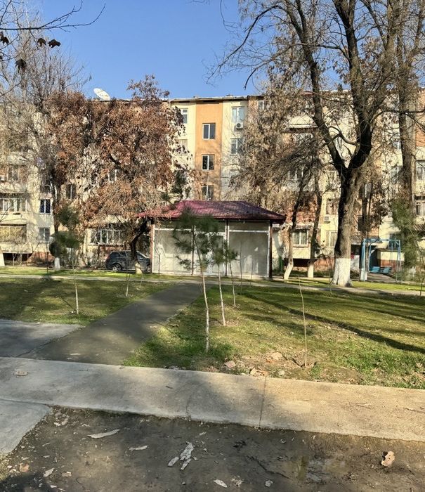 Chilonzor metro domlani orasi