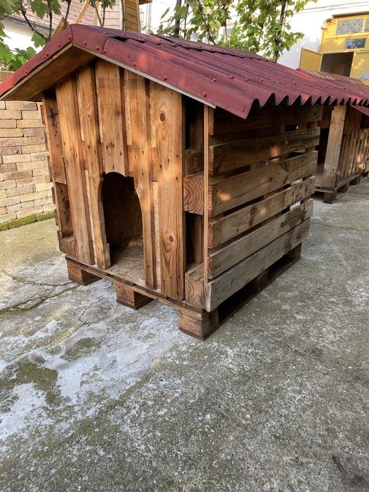 Cusca pentru caine