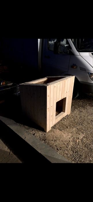 Cotet / cusca caine talie medie izolat