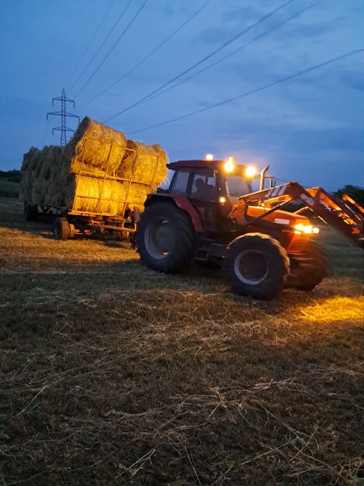 Baloti  lucerna de vânzare