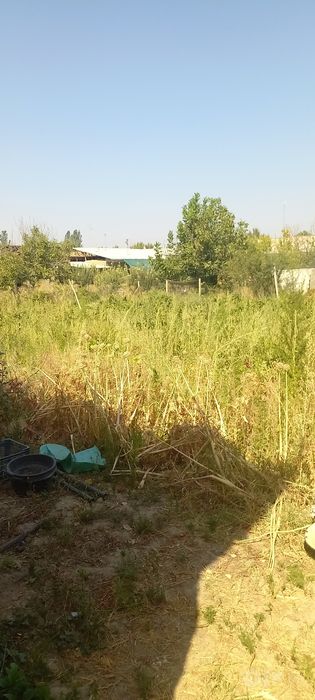 Yer sotiladi Samsarak qishlogida katta yol yoqasida
