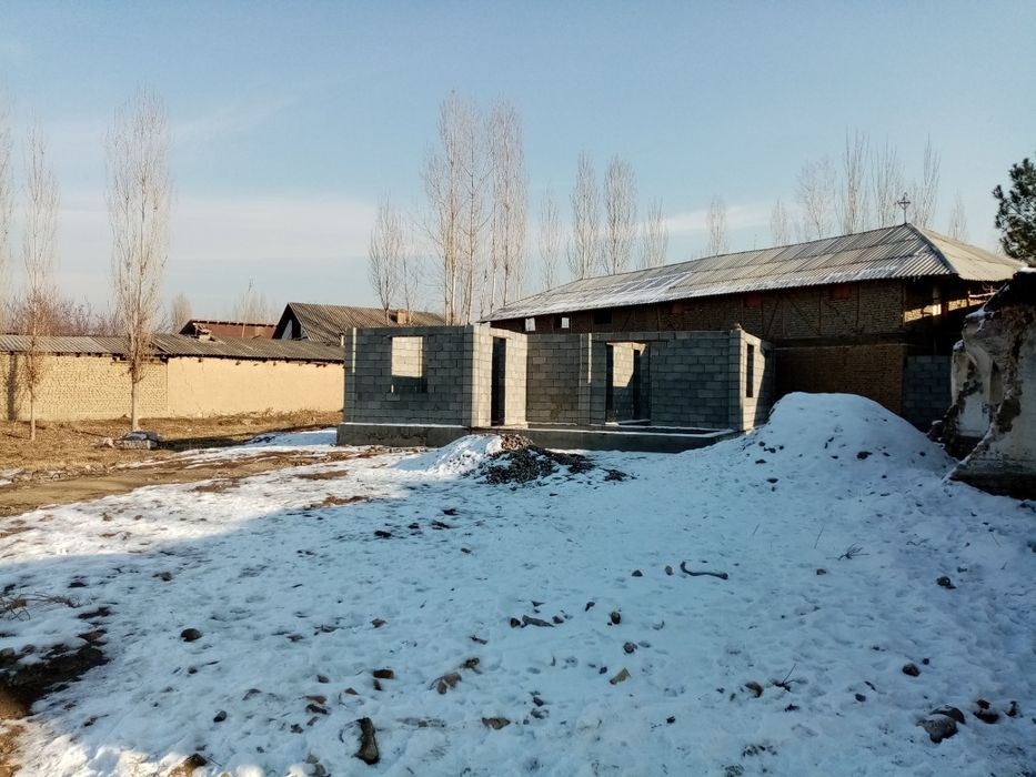 Noturar 15 sotik uchaska sotiladi