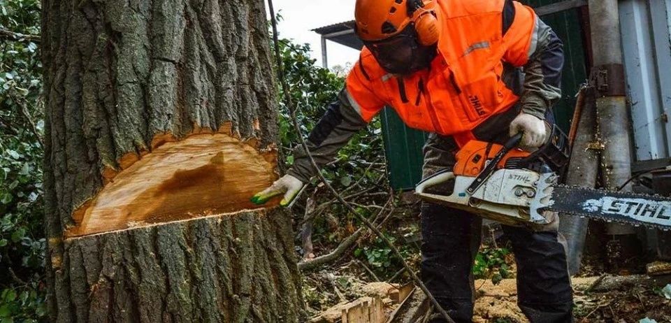 Аренда Инструментов Прокат Инструментов Бензопила Електро пила  24.7.