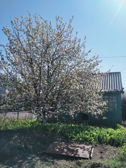 Продам дачу в черте города